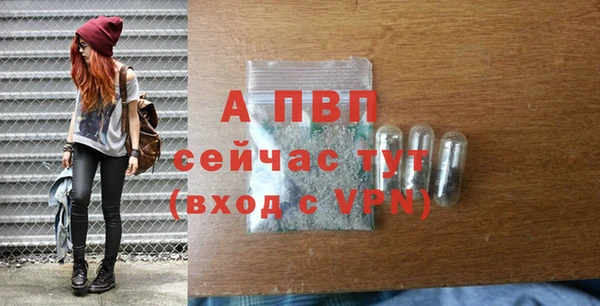 apvp Надым