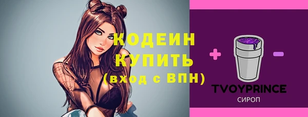 стаф Шарыпово
