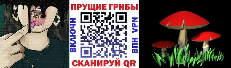Псилоцибиновые грибы Psilocybine cubensis  наркошоп  kraken маркетплейс  Шумерля 
